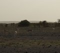 Lake Turkana Kenia