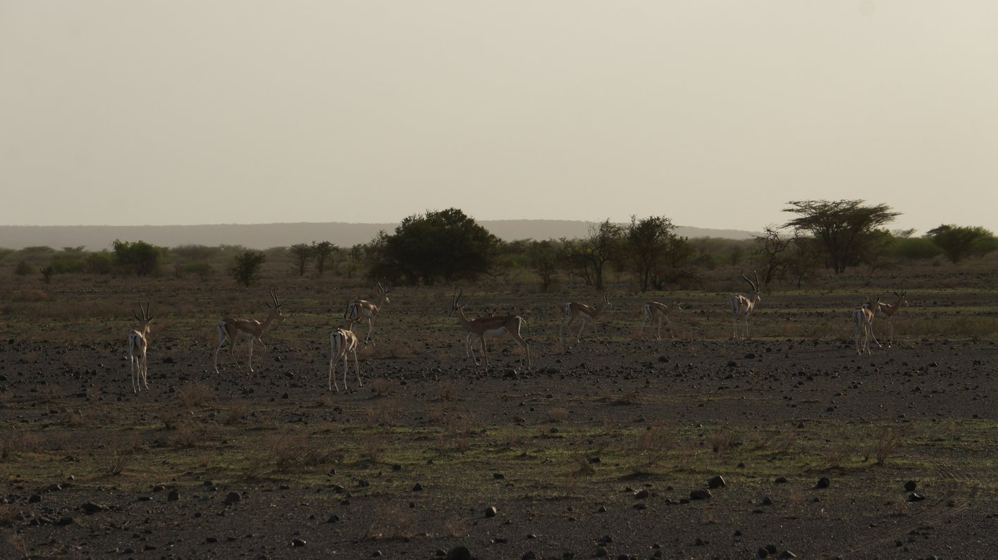 Lake Turkana Kenia