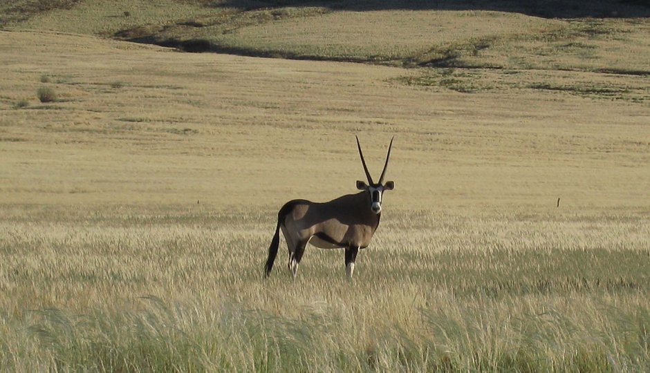 Namibia Hike&Drive