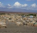 Lake Turkana Kenia