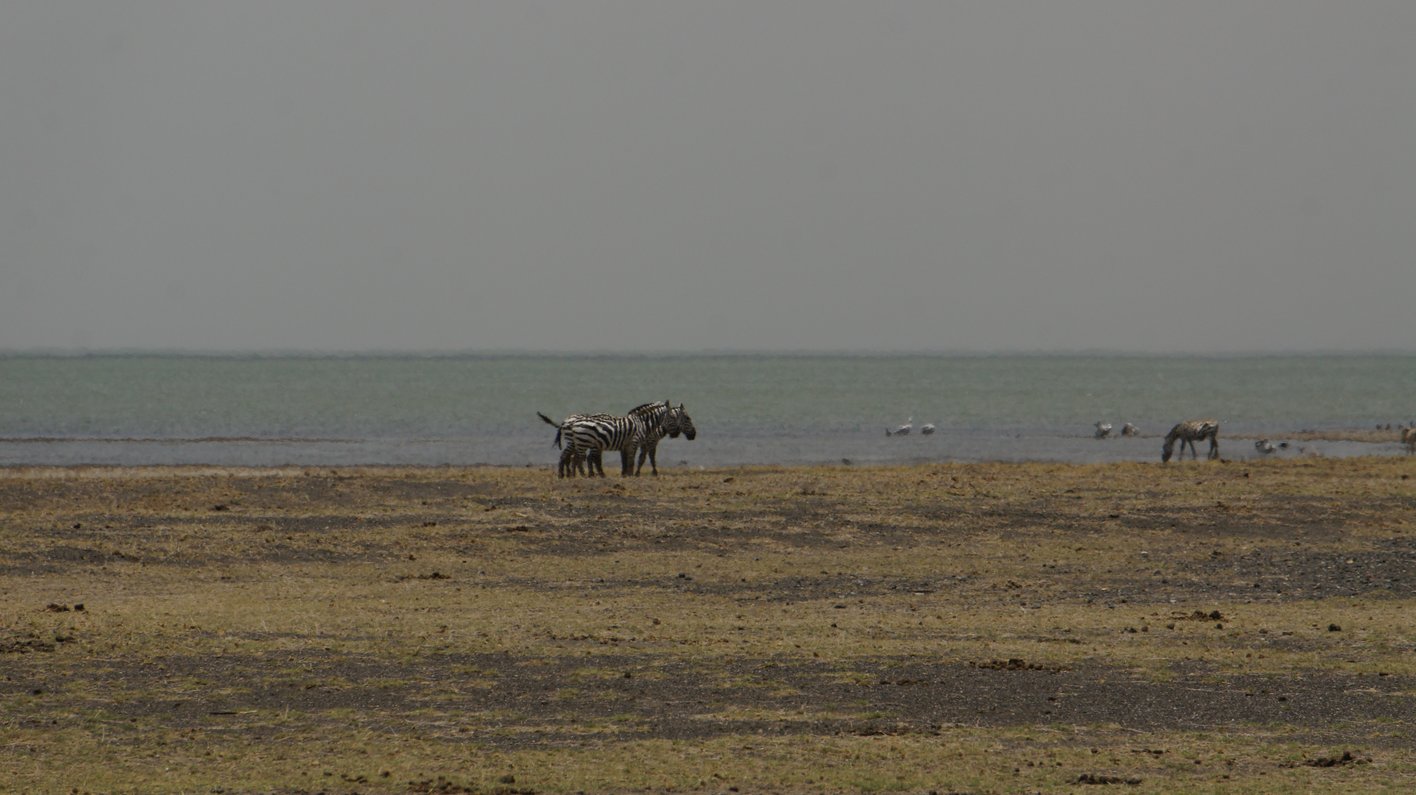 Lake Turkana Kenia