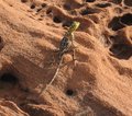 Namibia