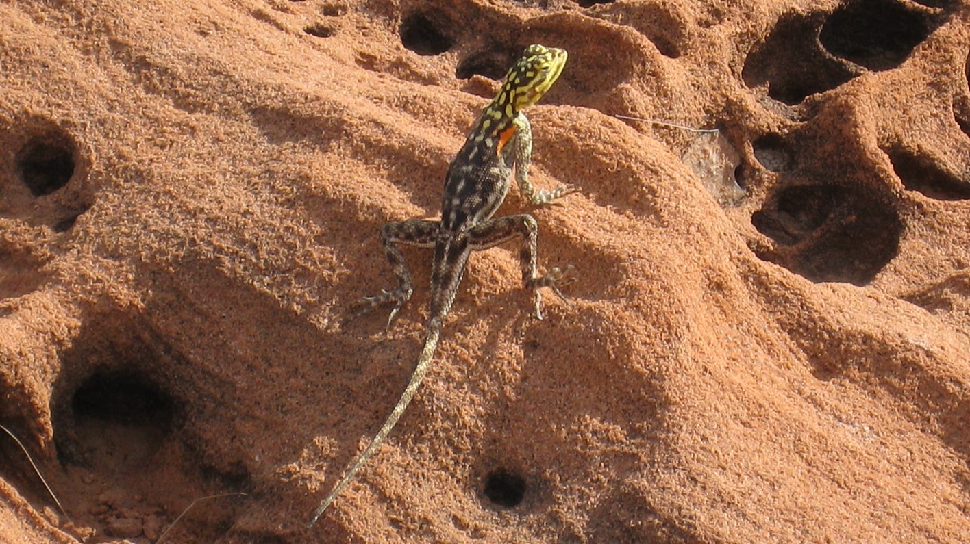 Namibia