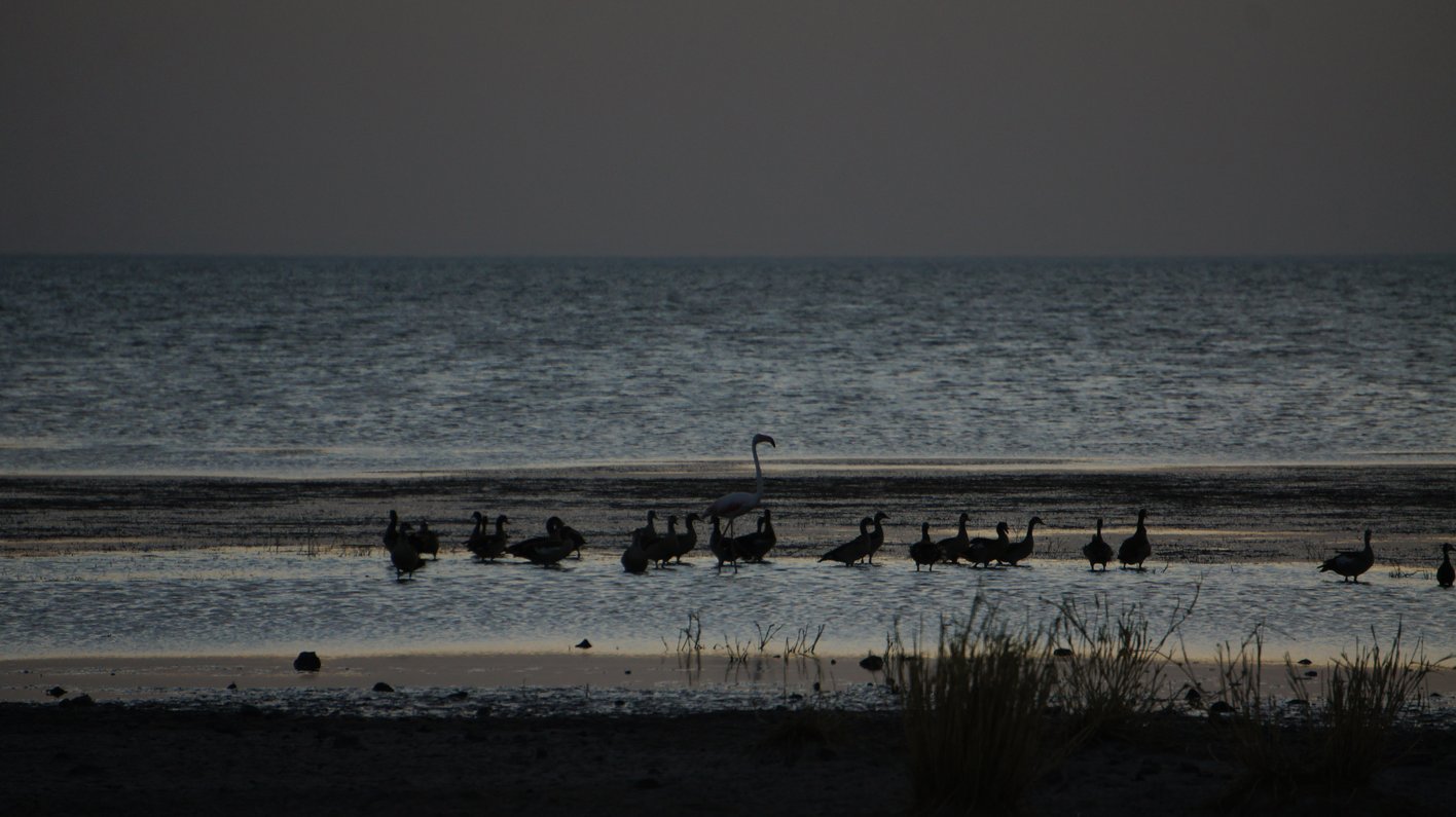Lake Turkana Kenia