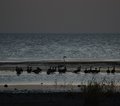 Lake Turkana Kenia