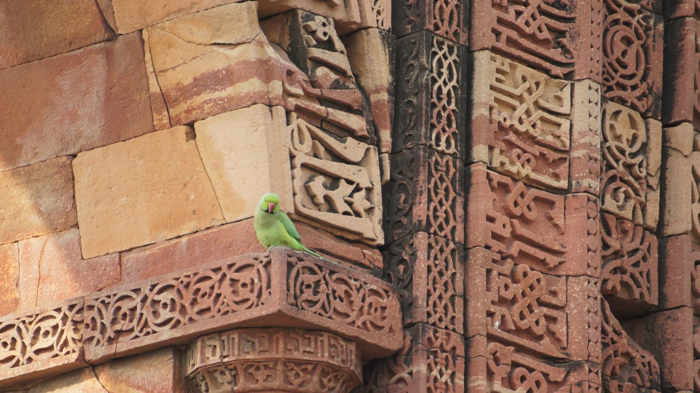 Indien
