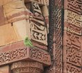 Indien
