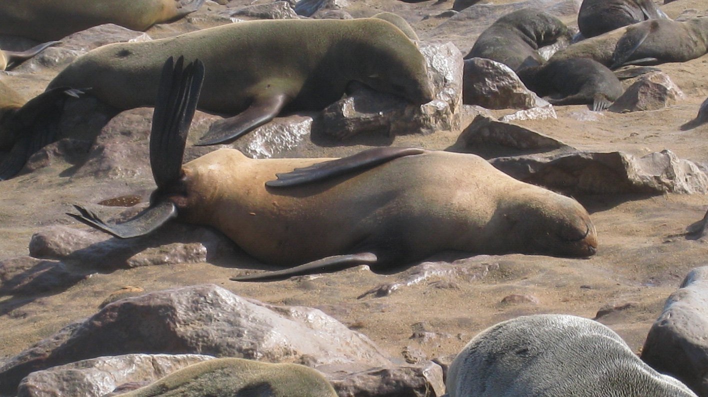 Namibia