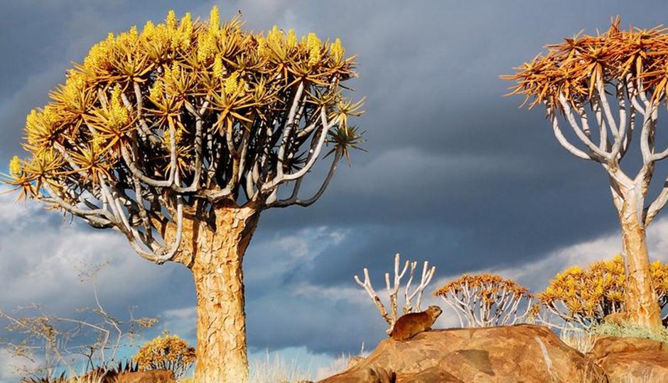 Namibia Hike&Drive