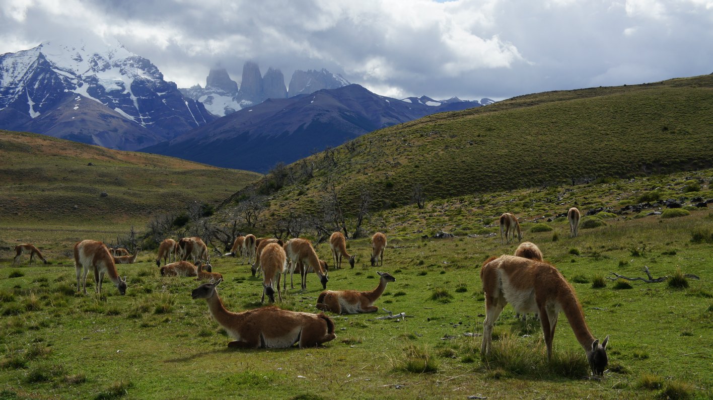 Patagonien