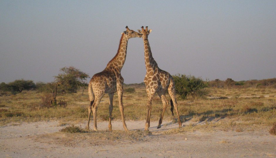 Namibia Hike&Drive