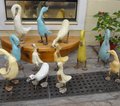 Quilttour bei den Amischen