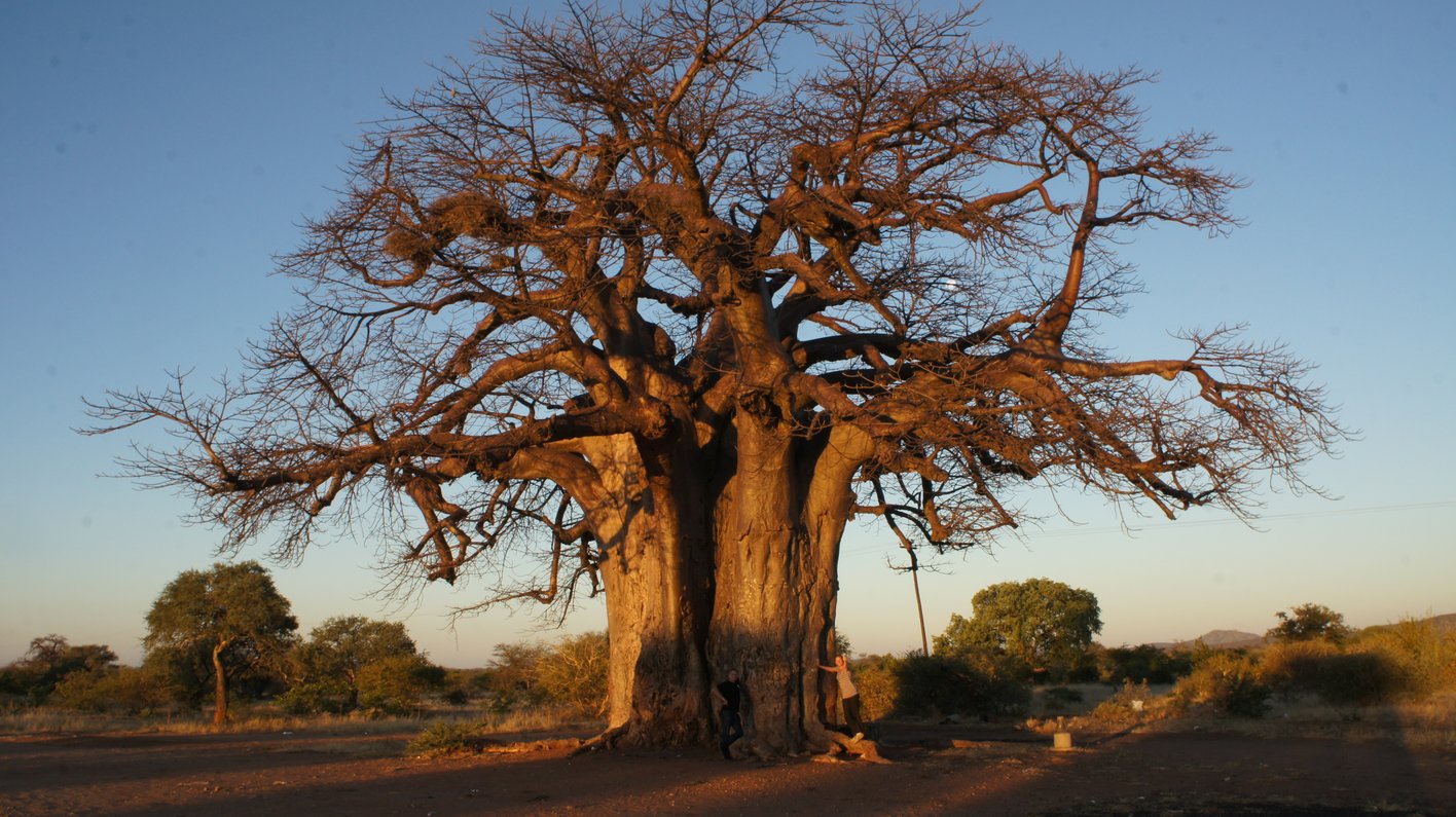 Zimbabwe