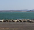 Lake Turkana Kenia