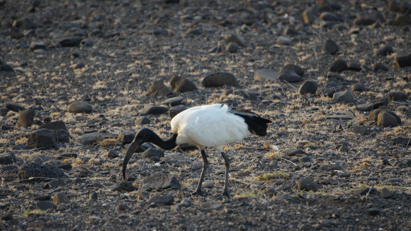 Lake Turkana Kenia
