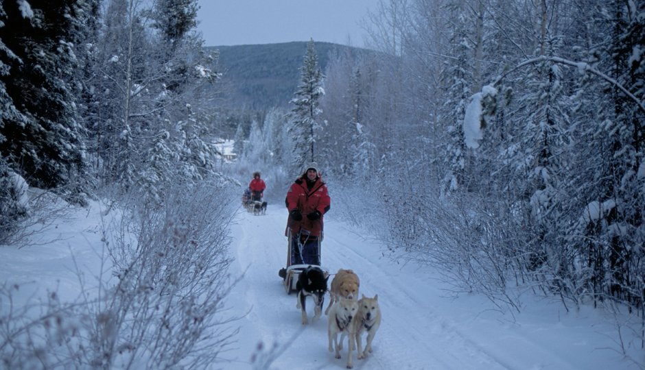 8 Tage Husky-Abenteuer Tour