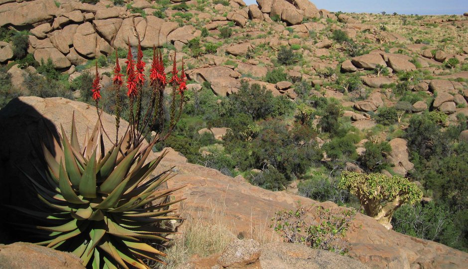 Namibia Hike&Drive
