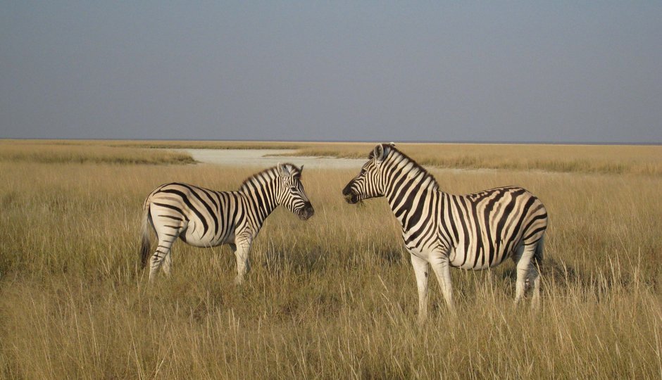 Namibia Hike&Drive