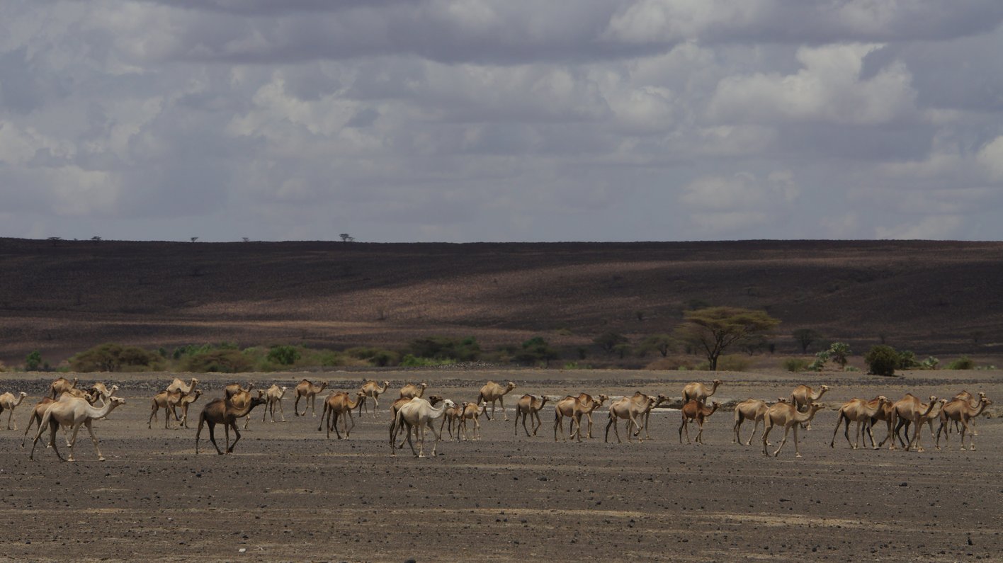 Lake Turkana Kenia