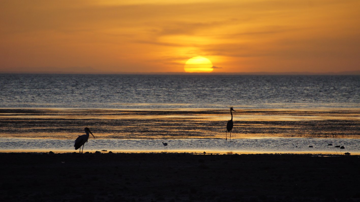 Lake Turkana Kenia