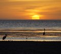 Lake Turkana Kenia