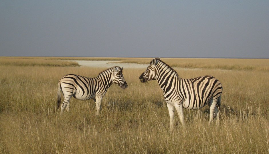 Namibia Hike&Drive