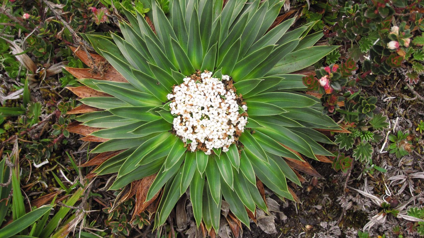 Ecuador