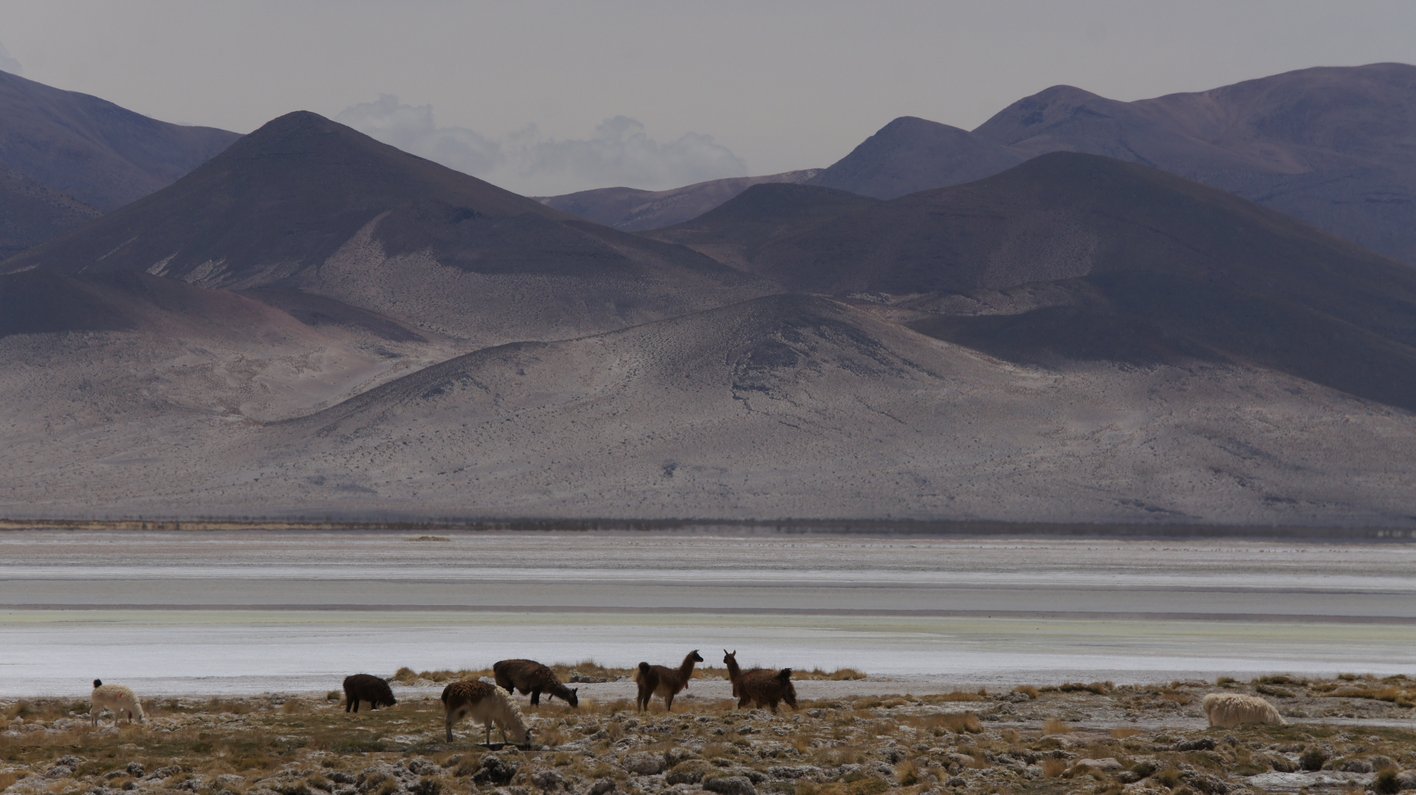 Chile Atacama