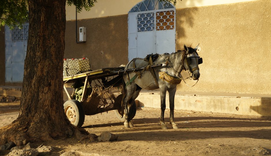 Mit der Bou el Mogdad auf dem Senegal River