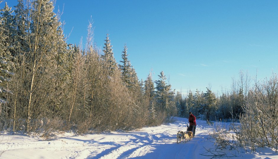 8 Tage Husky-Abenteuer Tour