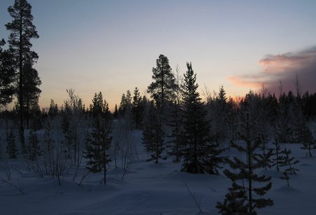 Trail to Nome Tour