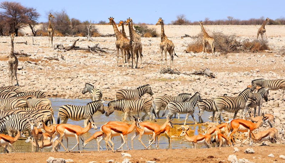 Namibia Hike&Drive