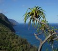 Hawaii