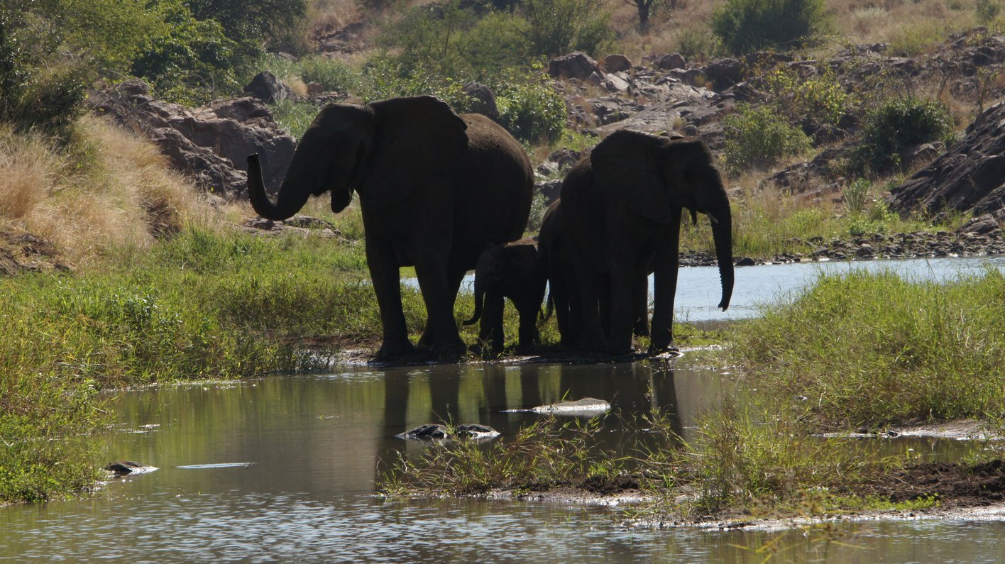Zimbabwe