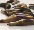 Galapagos