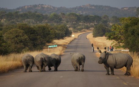 Zimbabwe Zimbabwe