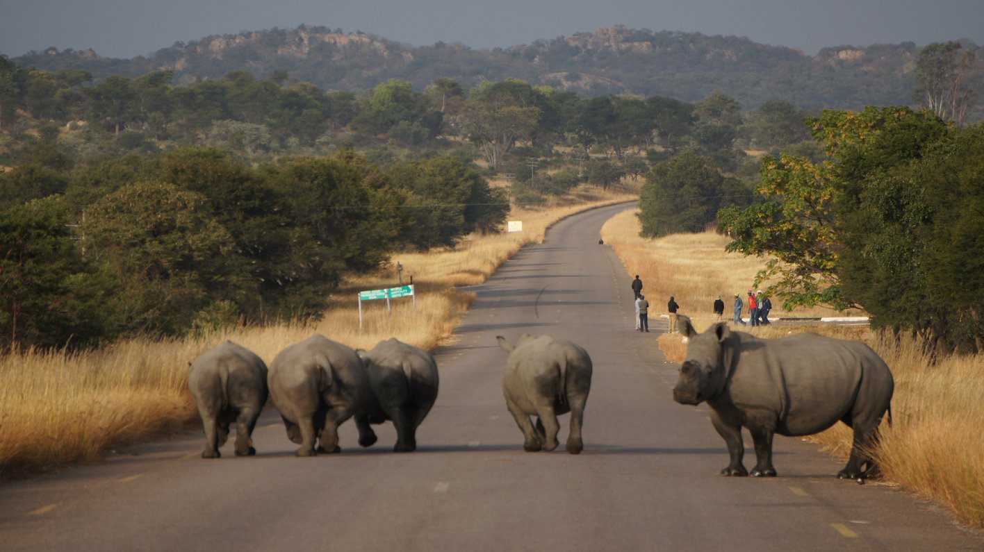 Zimbabwe