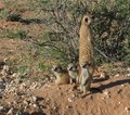 Namibia