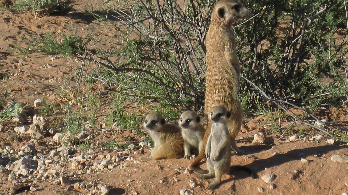 Namibia