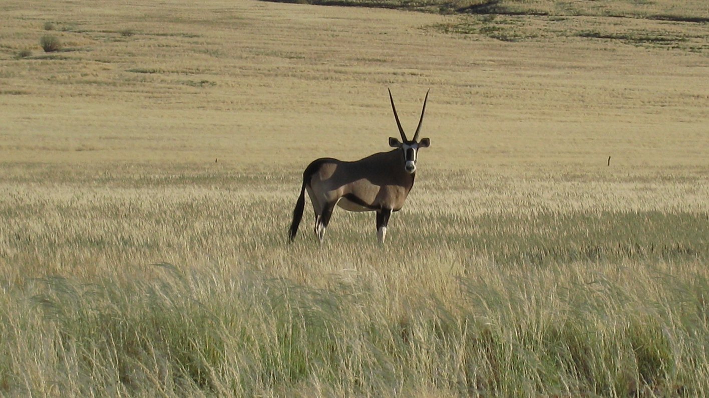Namibia