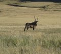 Namibia