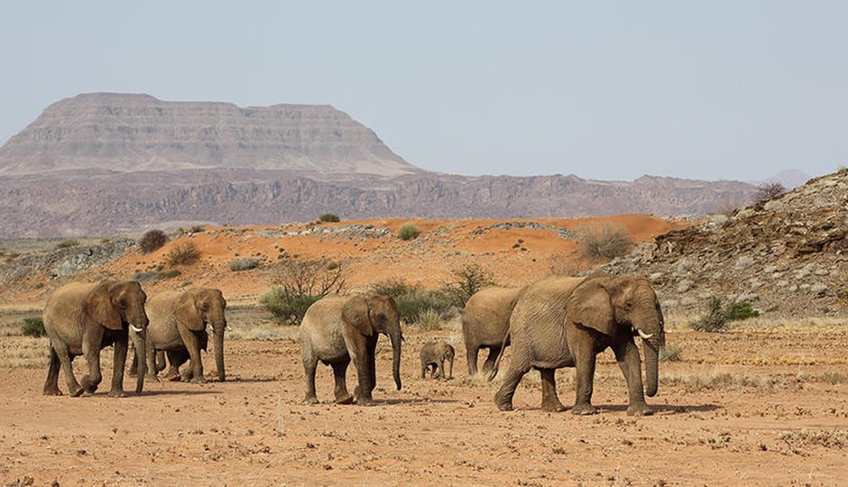 Namibia Hike&Drive