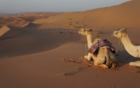 Oman Oman