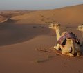 Oman