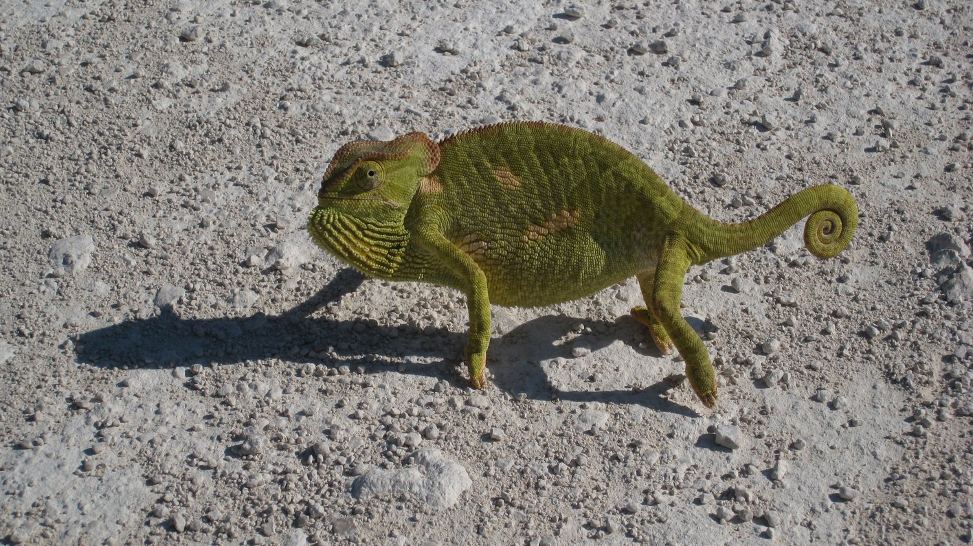 Namibia