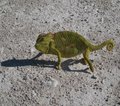 Namibia