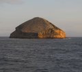 Galapagos