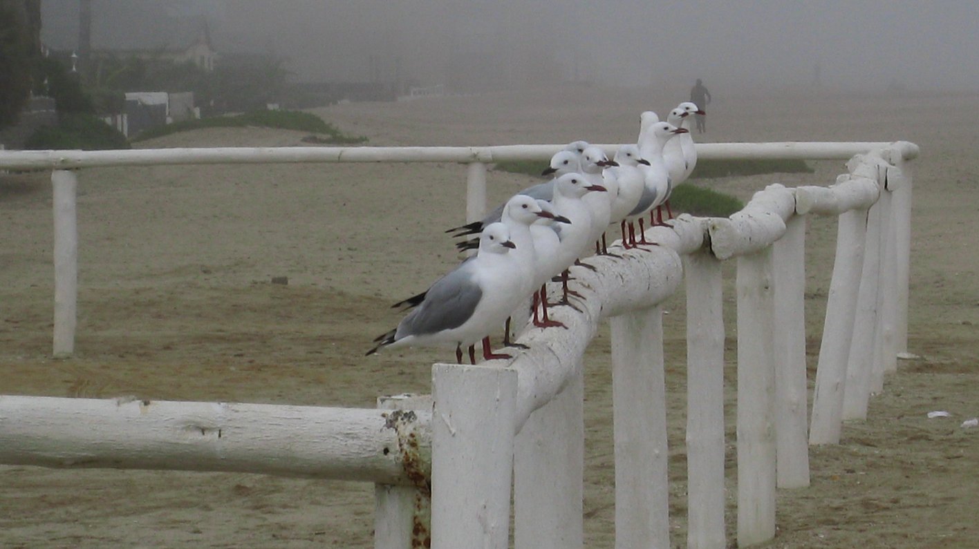 Namibia