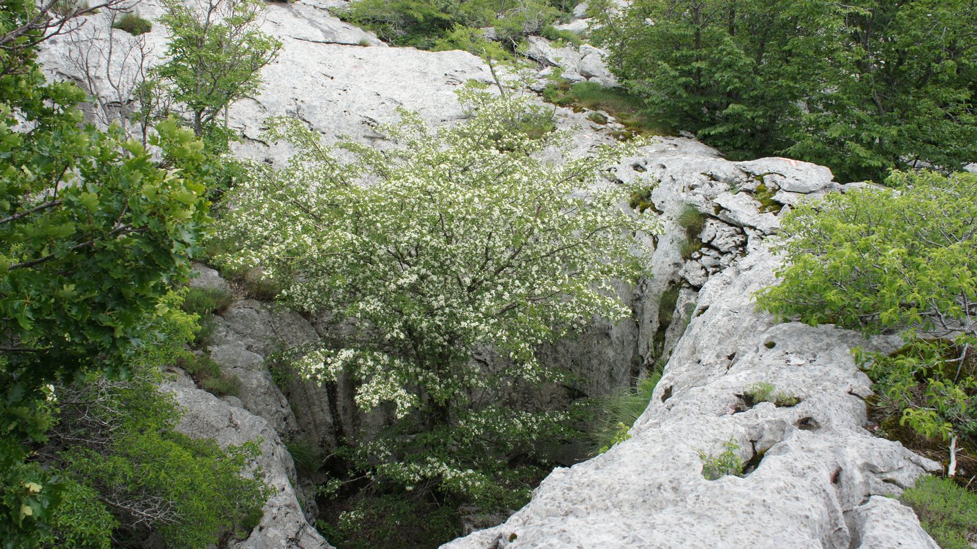 Kroatien