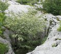 Kroatien